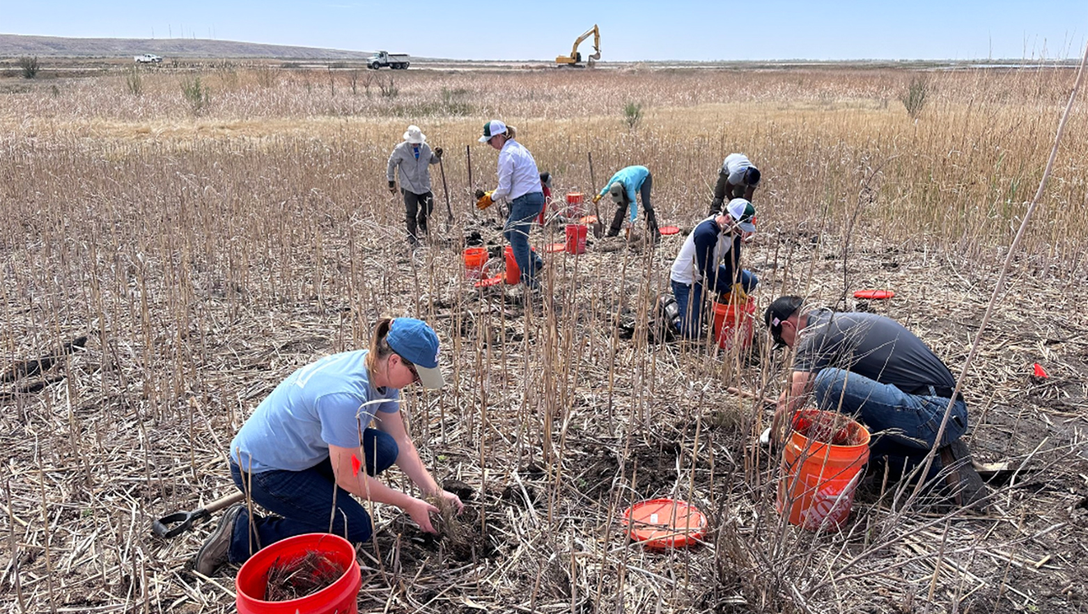Volunteers at the Bitter Lake National Wildlife Refuge near Roswell, New Mexico