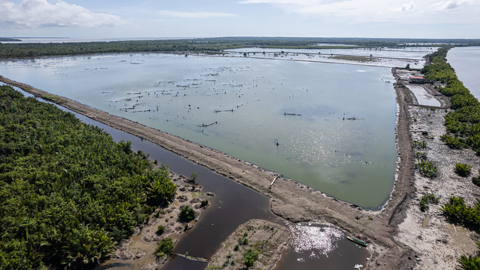 An area where mangroves have been cleared to form a shrimp pond. Photo courtesy of Pact.