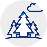 icon of trees and a cloud