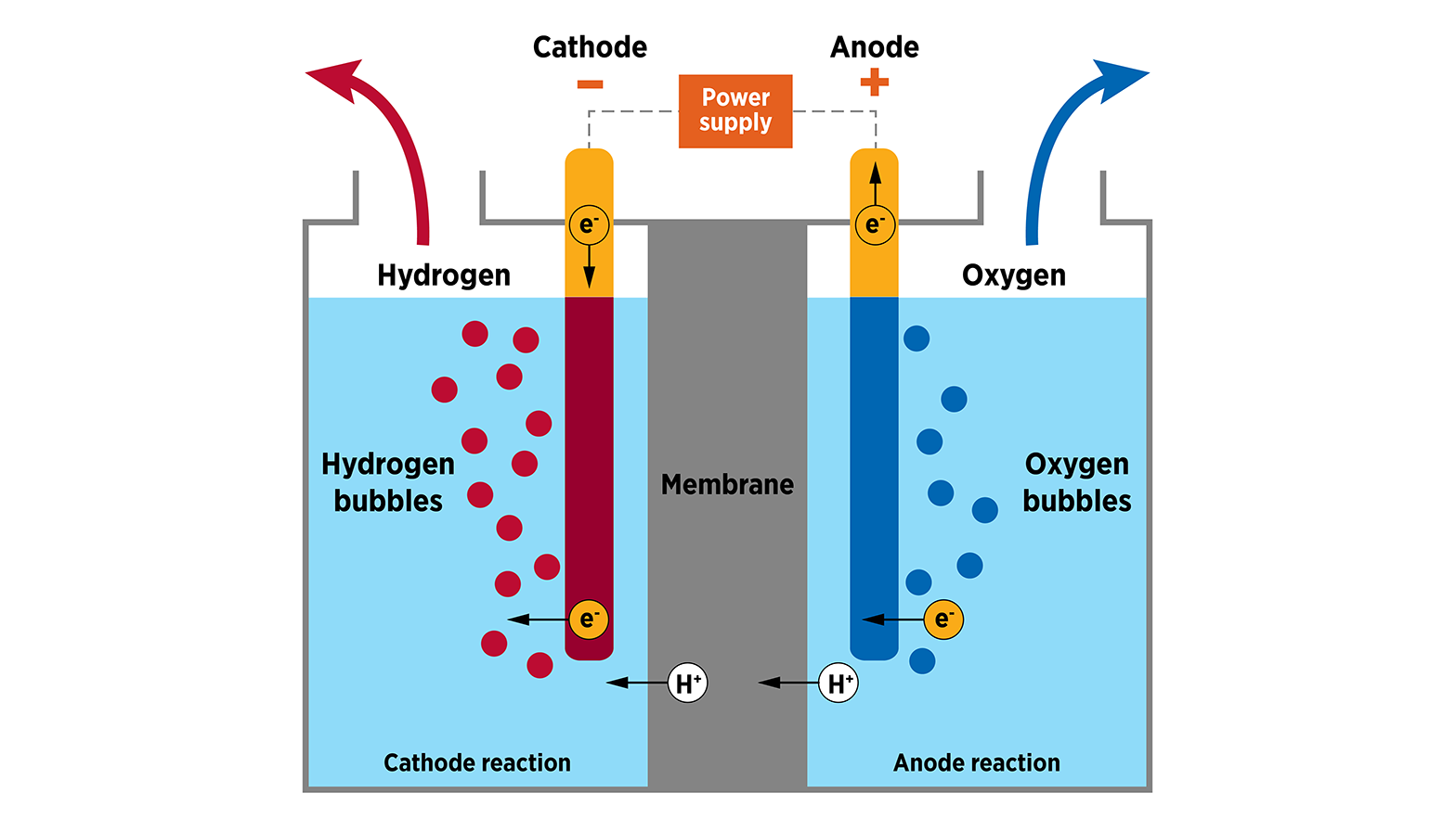 The process of electrolysis illustration